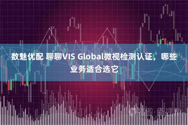 数魅优配 聊聊VIS Global微视检测认证，哪些业务适合选它