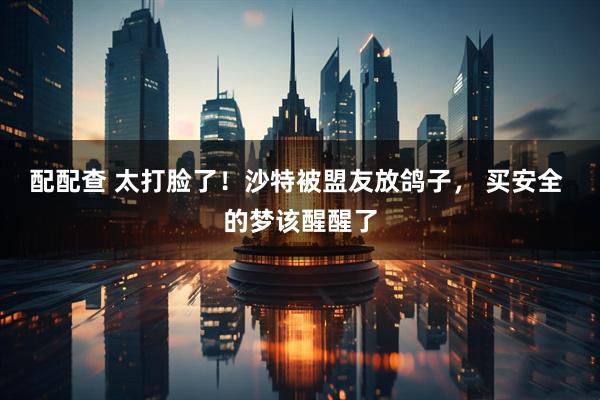 配配查 太打脸了！沙特被盟友放鸽子， 买安全 的梦该醒醒了